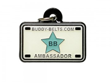 Buddy belts ambassador charm small blue star