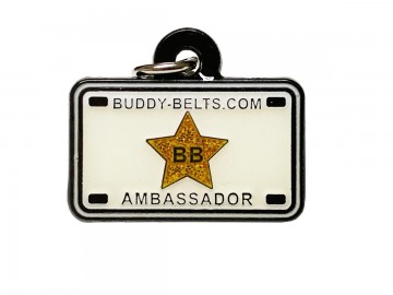 Buddy belts ambassador charm small gold star