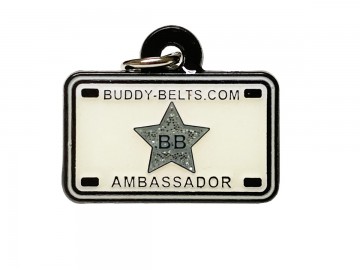 Buddy belts ambassador charm small silver star