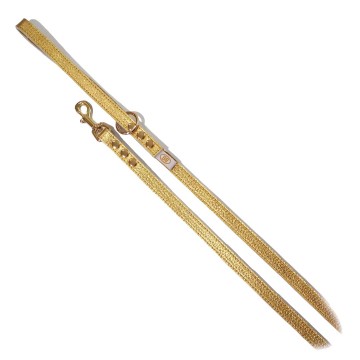 Buddy belts hondenriem elite gold nugget 1