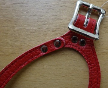Buddy belts hondentuigje premium red nieuw detail