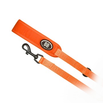 Buddy belts sport leashes three quarter inch vibrant firefly 9