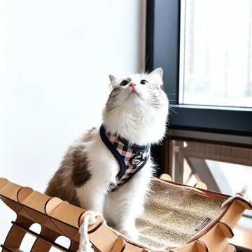 Catspia katten tuigje robin pink model a 3