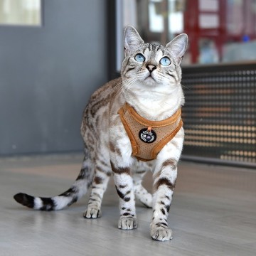 Catspia kattentuigje lumi beige model q 4