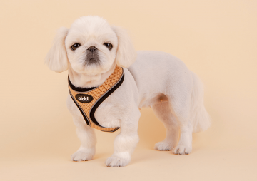 Olchi hondentuigje model a beige 3