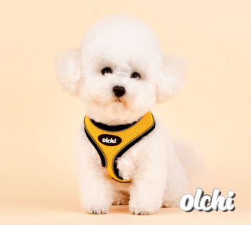 Olchi hondentuigje model a yellow 3