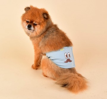 Olchi plasbanden  mannerbands mustache sky blue 31