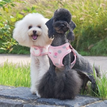 Pinkaholic Harness / Hondentuigje Abby Pinka Indian Pink Model J