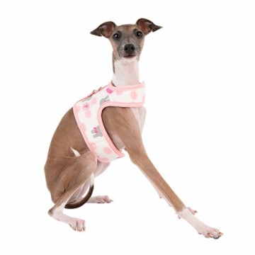Pinkaholic Harness / Hondentuigje Abby Pinka Ivory Model J