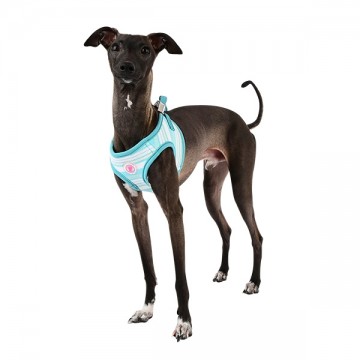 Pinkaholic Harness / Hondentuigje Cara Aqua Model Q