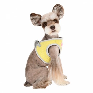 Pinkaholic Harness / Hondentuigje Lalo Lime Model Q