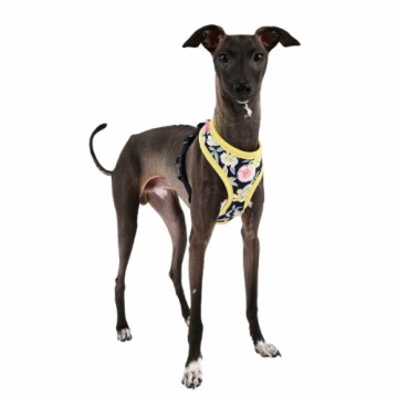 Pinkaholic Harness / Hondentuigje Zinnia Navy Model A