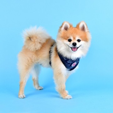 Pinkaholic Harness / Hondentuigje Mirabelle Navy Model A