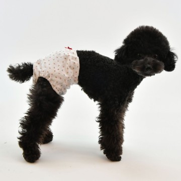 Pinkaholic loopsheidbroekje sherie ivory 3