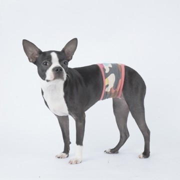 Pinkaholic Plasband Delta Pink