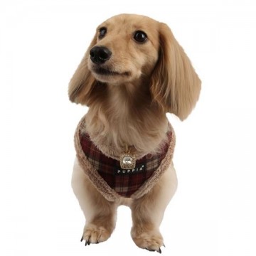 Puppia barron model a wine 5