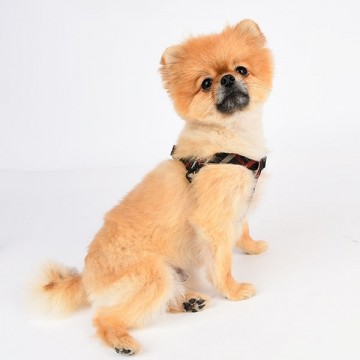 Puppia Hondentuig / Harness Baxter Model X Black