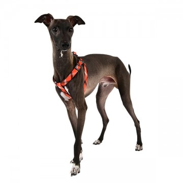 Puppia Hondentuig / Harness Baxter Model X Orange