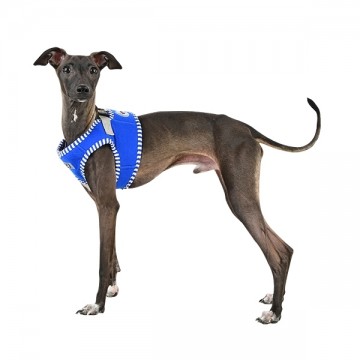 Puppia harness honden tuigje naunet royal blue model a
