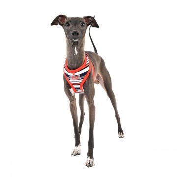 Puppia Harness / Hondentuigje Oceane Red Model A