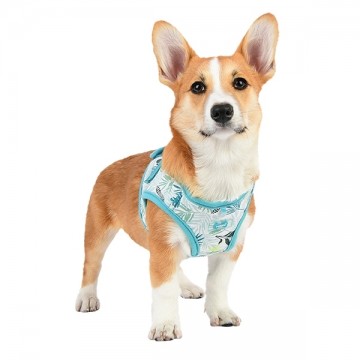 Puppia Harness / Hondentuigje Rowan Aqua Model B