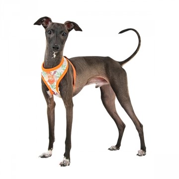 Puppia Harness / Hondentuigje Rowan Orange Model A