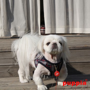 Puppia Harness / Honden tuigje Vogue Model B Navy