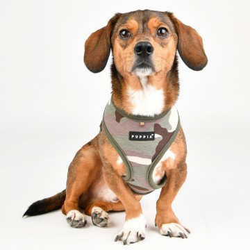 Puppia harness  hondentuigje  lance model a camo 3