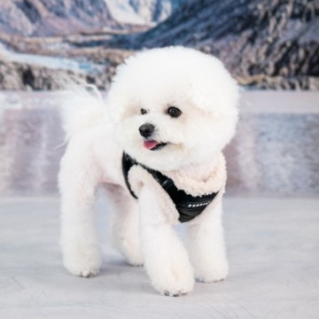 Puppia harness  hondentuigje  winterstride model b black 5