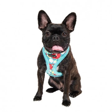 Puppia harness  hondentuigje alyssa model a aqua 3