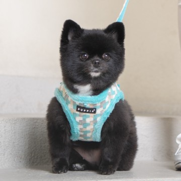 Puppia harness  hondentuigje arden model a aqua 3