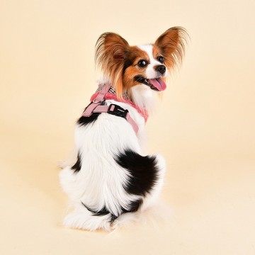 Puppia Harness / Hondentuigje Auden Model A Indian Pink