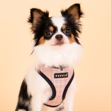 Puppia harness  hondentuigje blake model a navy 3