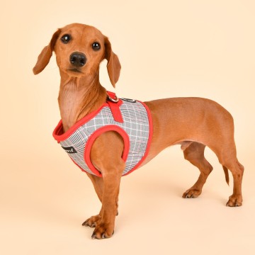 Puppia harness  hondentuigje blake model b red 4