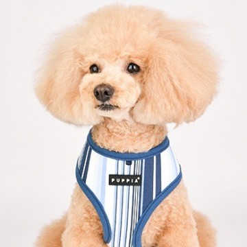 Puppia harness  hondentuigje caiden model a blue 5