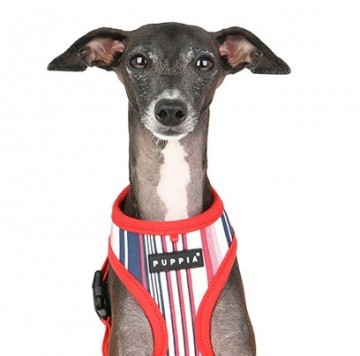 Puppia harness  hondentuigje caiden model a red 5