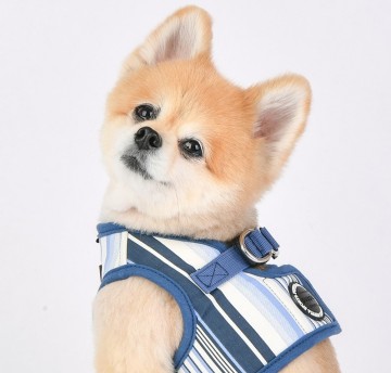 Puppia harness  hondentuigje caiden model b blue 6