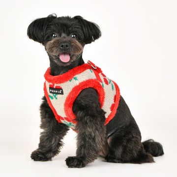 Puppia harness  hondentuigje cheryl model b red 4