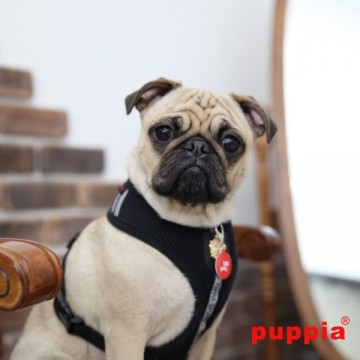 Puppia Harness / Hondentuigje Dex Model A Black