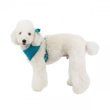 Puppia harness  hondentuigje dotty ii model a teal 3