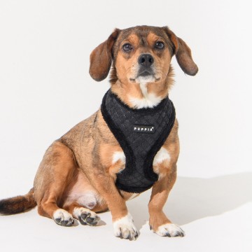 Puppia harness  hondentuigje douglas model a black 4