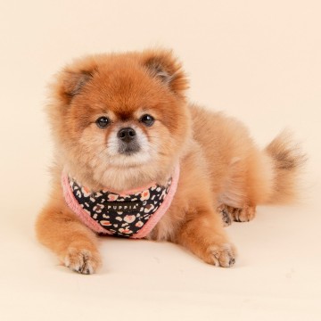 Puppia harness  hondentuigje elyse model a indian pink 4