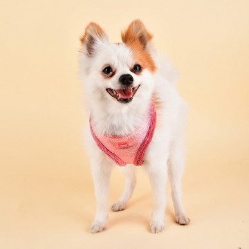 Puppia Harness / Hondentuigje Evon Model A Pink