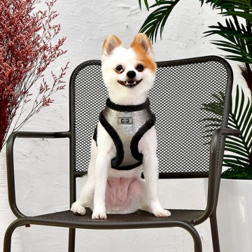 Puppia Harness / Hondentuigje Evon Model A Silver