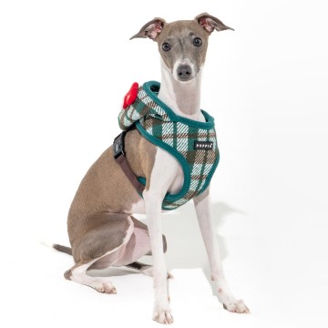 Puppia harness  hondentuigje festive model a green 4