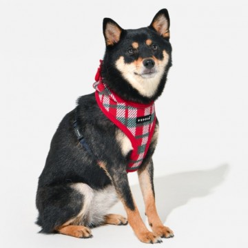 Puppia harness  hondentuigje festive model a red 4 2
