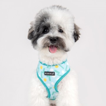 Puppia harness  hondentuigje fete model a aqua 3