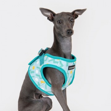 Puppia harness  hondentuigje fete model b aqua 3