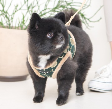 Puppia harness  hondentuigje florent model b khaki 3