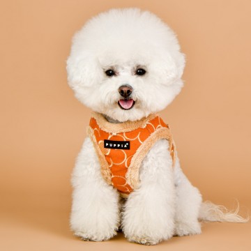 Puppia harness  hondentuigje florent model b orange 3